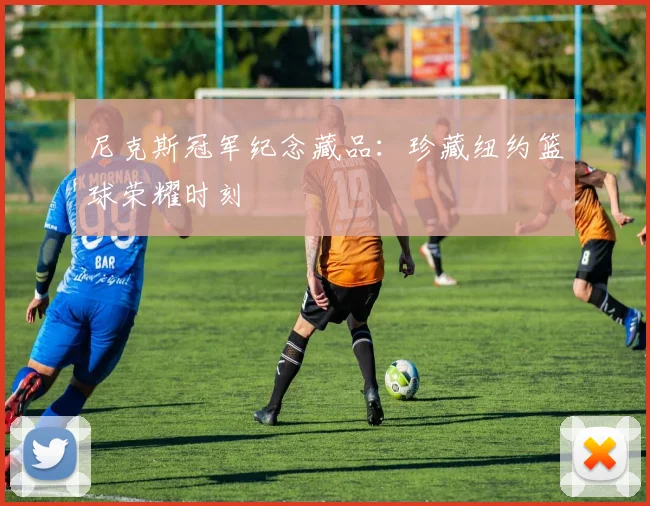 尼克斯冠军纪念藏品：珍藏纽约篮球荣耀时刻